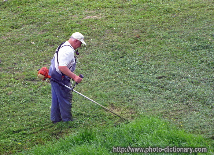 cutting grass - photo/picture definition - cutting grass word and phrase image