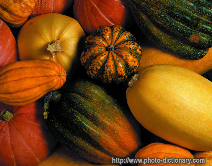 pumpkin - photo/picture definition - pumpkin word and phrase image