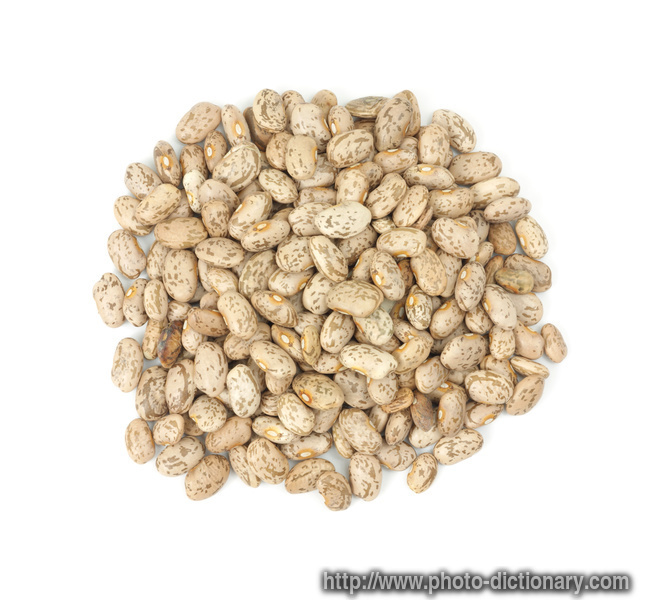 pinto beans - photo/picture definition - pinto beans word and phrase image