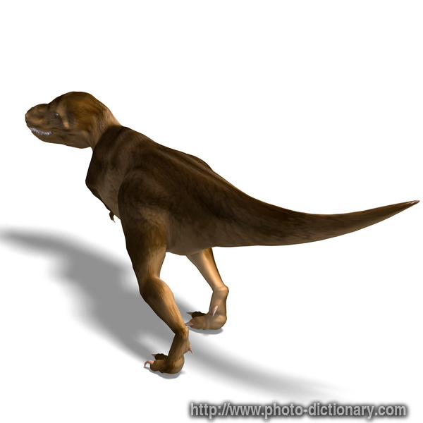 trex photo picture definition trex word and phrase image