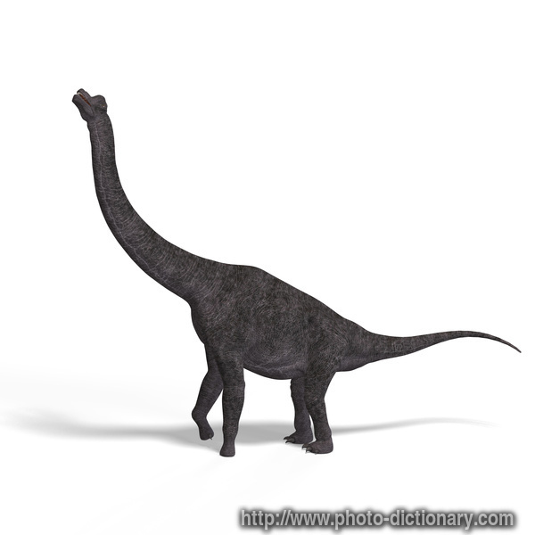 brachiosaurus - photo/picture definition - brachiosaurus word and phrase image