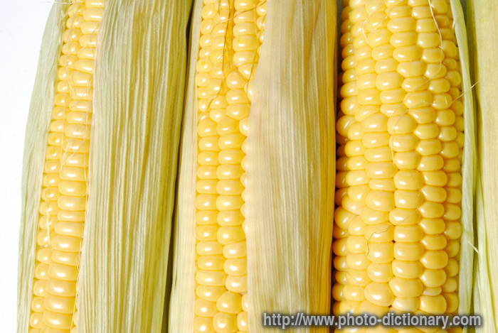 corn cobs - photo/picture definition - corn cobs word and phrase image