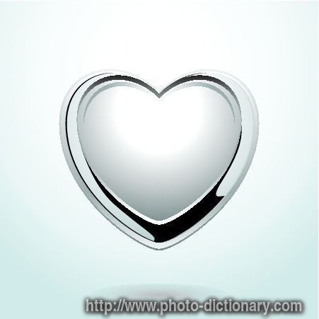 heart - photo/picture definition - heart word and phrase image