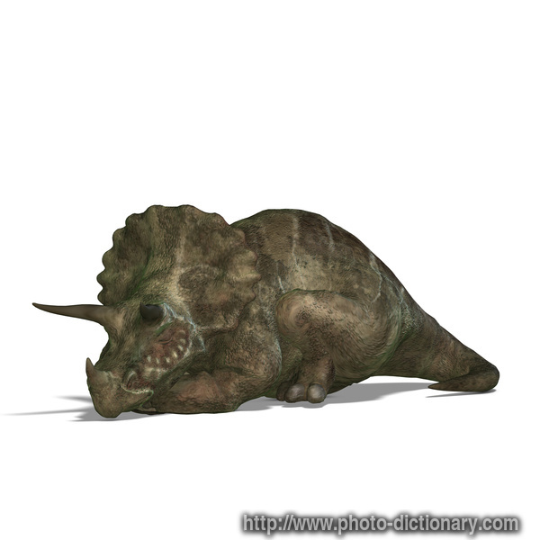 triceratops - photo/picture definition - triceratops word and phrase image