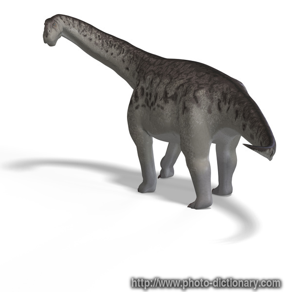 camasaurus - photo/picture definition - camasaurus word and phrase image
