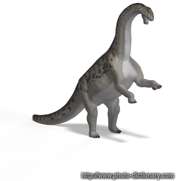 camasaurus - photo/picture definition - camasaurus word and phrase image