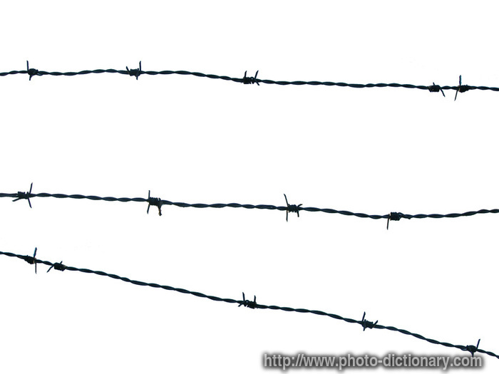 Barbed Wire Photos