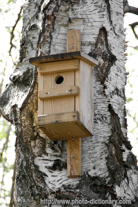 birdhouse - photo/picture definition - birdhouse word and phrase image