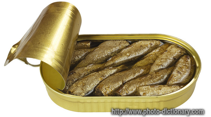 anchovies - photo/picture definition - anchovies word and phrase image