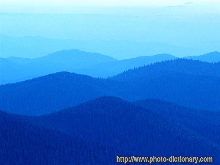forest landscape - photo/picture definition - forest landscape word and phrase image