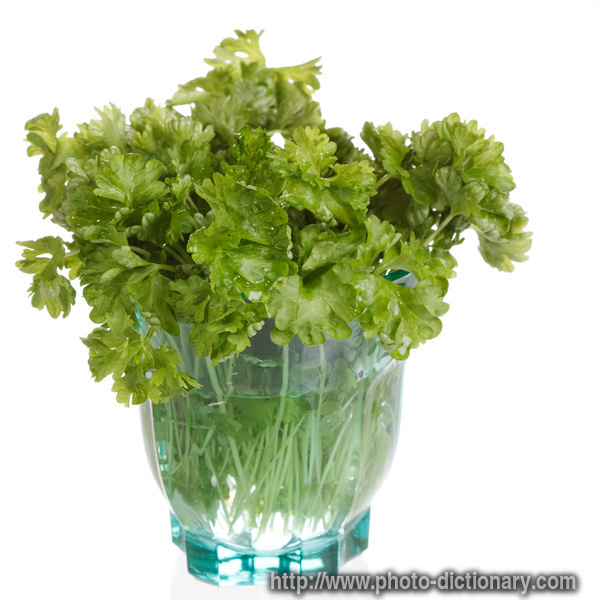 herbs - photo/picture definition - herbs word and phrase image