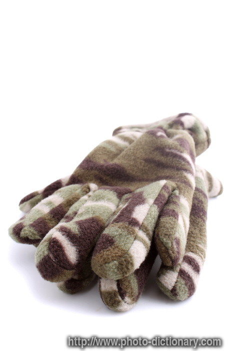 winter gloves - photo/picture definition - winter gloves word and phrase image