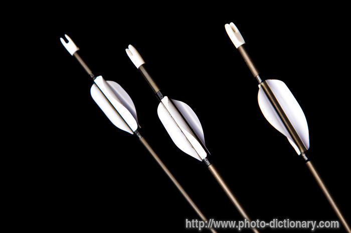 arrows - photo/picture definition - arrows word and phrase image