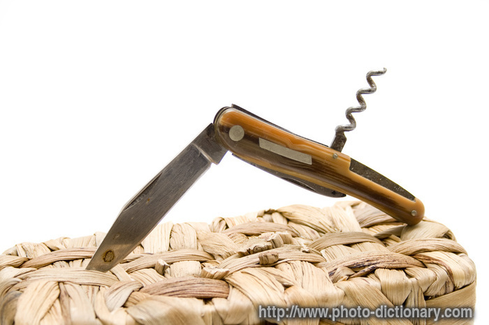 bag knife - photo/picture definition - bag knife word and phrase image