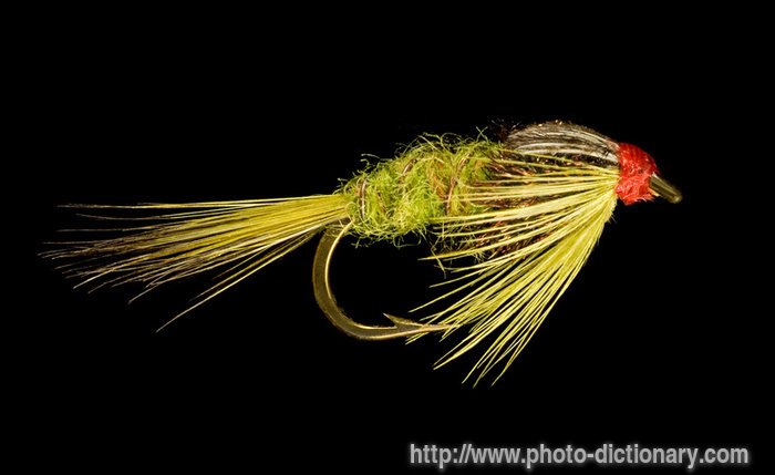 nymph fishing fly - photo/picture definition - nymph fishing fly word and phrase image