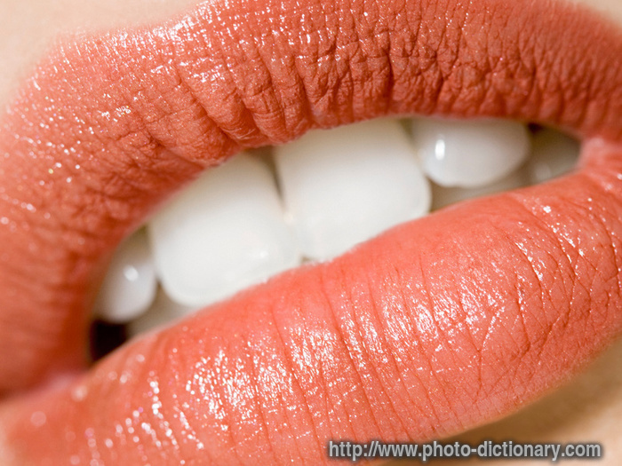 lips - photo/picture definition at Photo Dictionary - lips word and