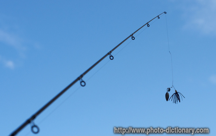 spinning rod - photo/picture definition - spinning rod word and phrase image