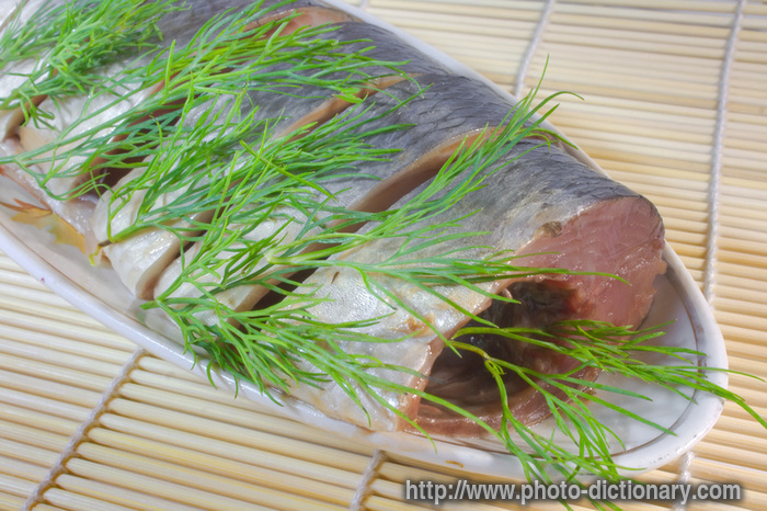 salty herring - photo/picture definition - salty herring word and phrase image