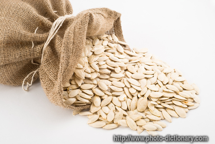 pumpkin seed - photo/picture definition - pumpkin seed word and phrase image