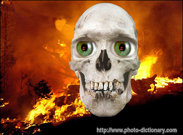 skull - photo/picture definition - skull word and phrase image