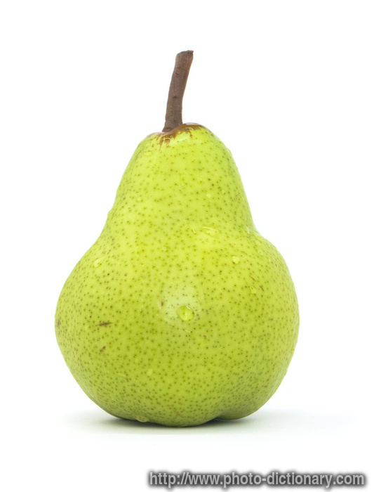 packham pear - photo/picture definition - packham pear word and phrase image