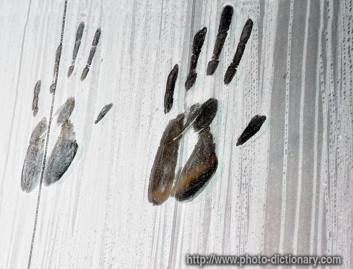 handprints - photo/picture definition - handprints word and phrase image