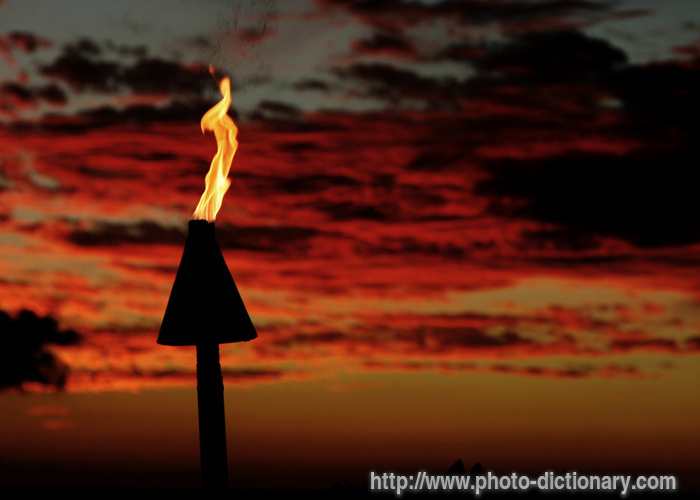 Hawaiian torch - photo/picture definition - Hawaiian torch word and phrase image