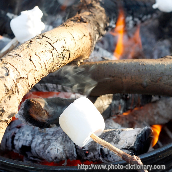 marshmallow - photo/picture definition - marshmallow word and phrase image