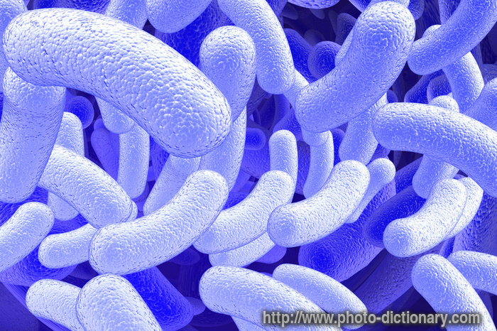 microbes - photo/picture definition - microbes word and phrase image