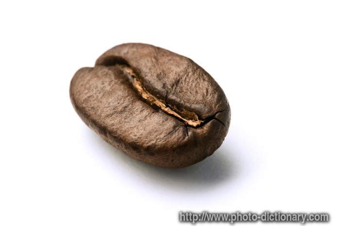 coffee bean - photo/picture definition - coffee bean word and phrase image