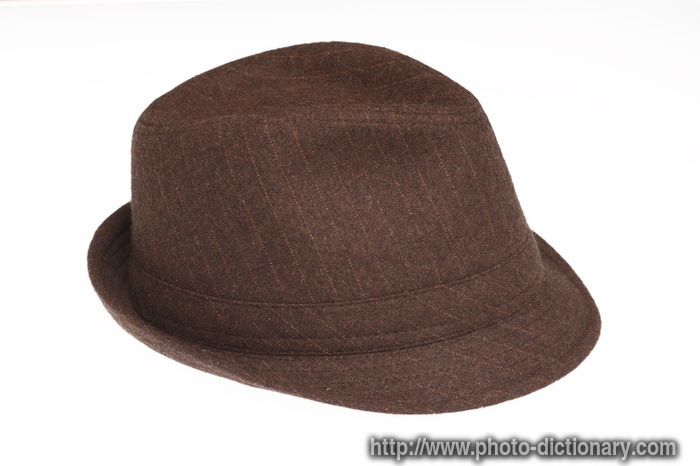 fedora hat - photo/picture definition - fedora hat word and phrase image