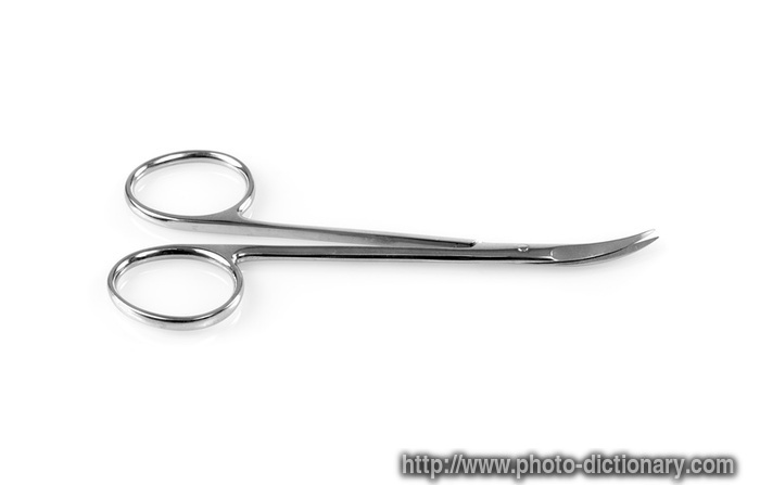 medical scissor - photo/picture definition - medical scissor word and phrase image