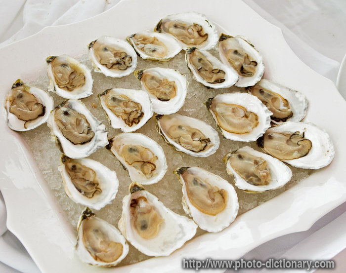 oysters - photo/picture definition - oysters word and phrase image