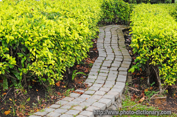stone path - photo/picture definition - stone path word and phrase image