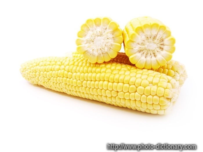 maize and corn