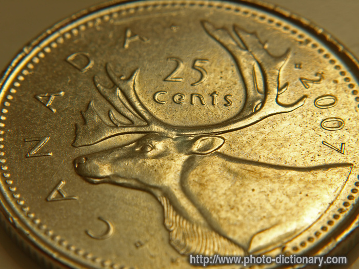 Canadian coin - photo/picture definition - Canadian coin word and phrase image