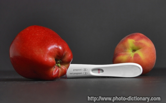 pregnancy test - photo/picture definition - pregnancy test word and phrase image