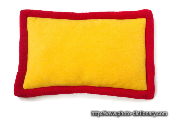 plush pillow - photo/picture definition - plush pillow word and phrase image
