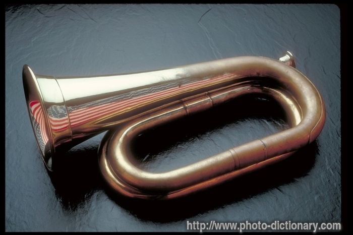 bugle - photo/picture definition - bugle word and phrase image