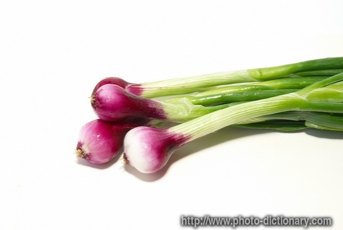 young onions - photo/picture definition - young onions word and phrase image