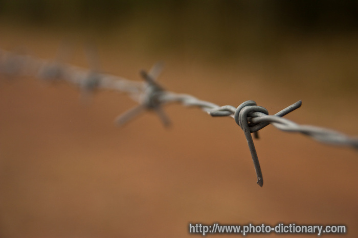 barbwire - photo/picture definition - barbwire word and phrase image