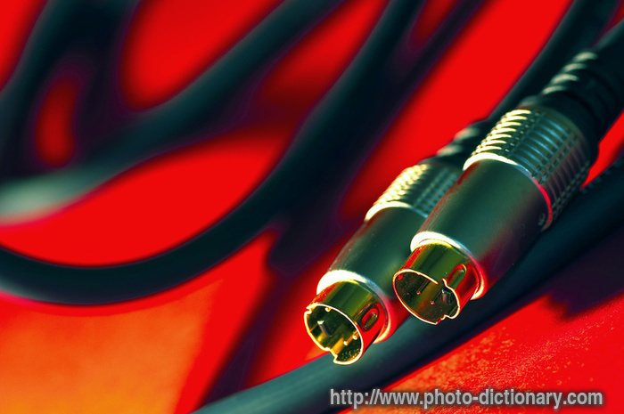 s video cable - photo/picture definition - s video cable word and phrase image