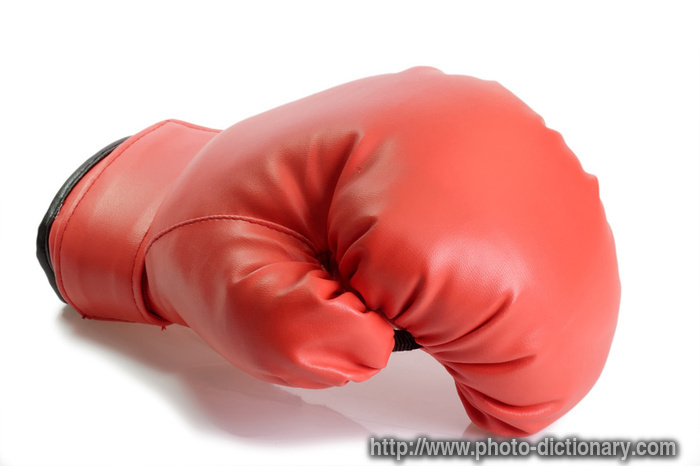 boxing-glove-photo-picture-definition-at-photo-dictionary-boxing-glove-word-and-phrase