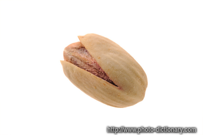pistachio - photo/picture definition - pistachio word and phrase image