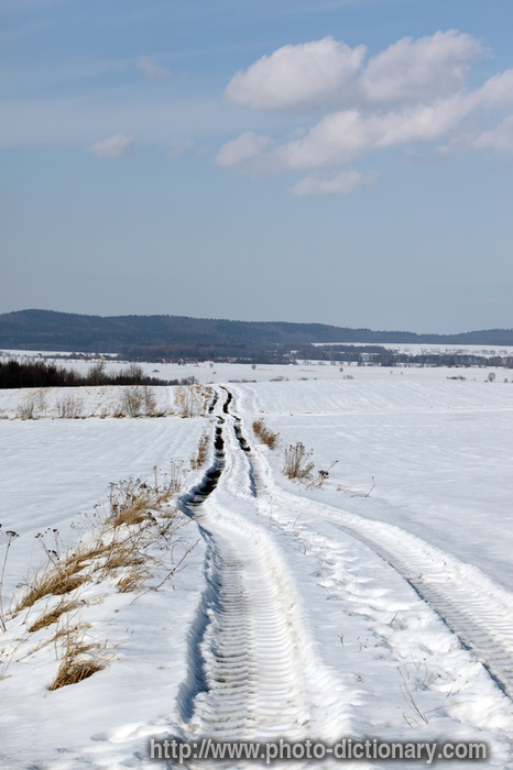 winter path - photo/picture definition - winter path word and phrase image
