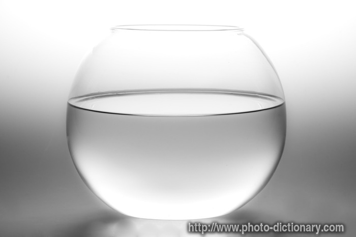 bowl - photo/picture definition - bowl word and phrase image