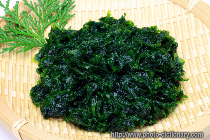 seaweed - photo/picture definition - seaweed word and phrase image