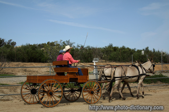 carriage ride - photo/picture definition - carriage ride word and phrase image