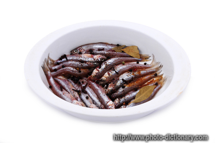 anchovy - photo/picture definition - anchovy word and phrase image
