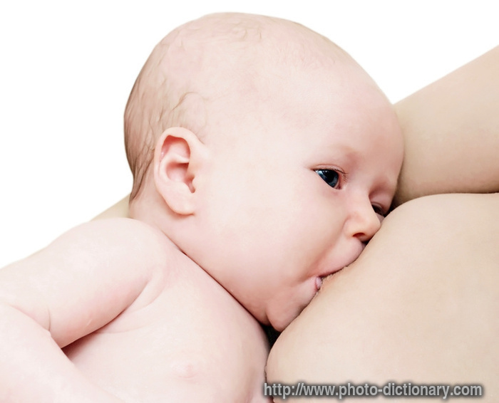 breast feeding - photo/picture definition - breast feeding word and phrase image